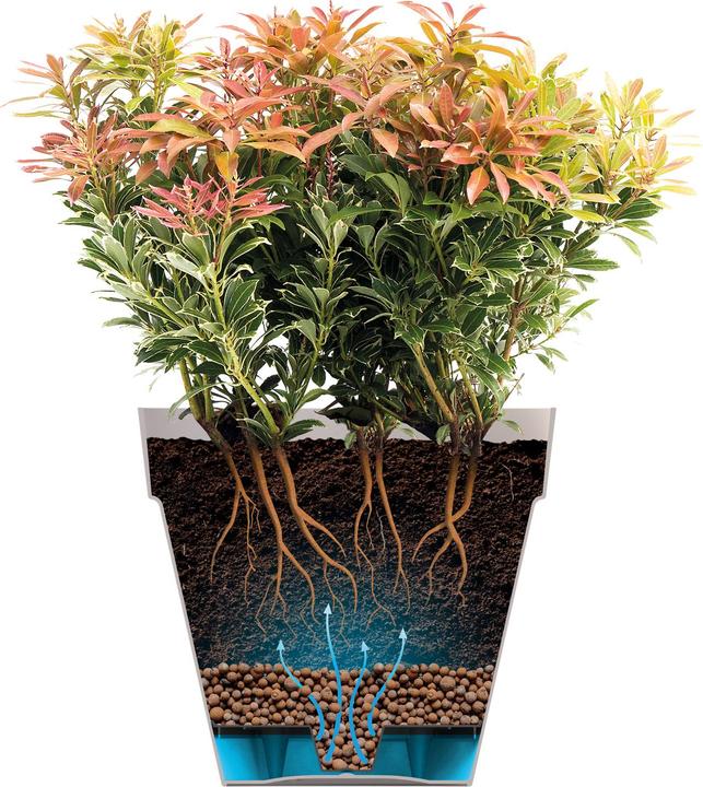 Produktbild Elho Loft Urban (24 cm)