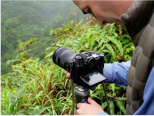 Produktbild Panasonic Lumix S1 (24.20 Mpx, Vollformat)