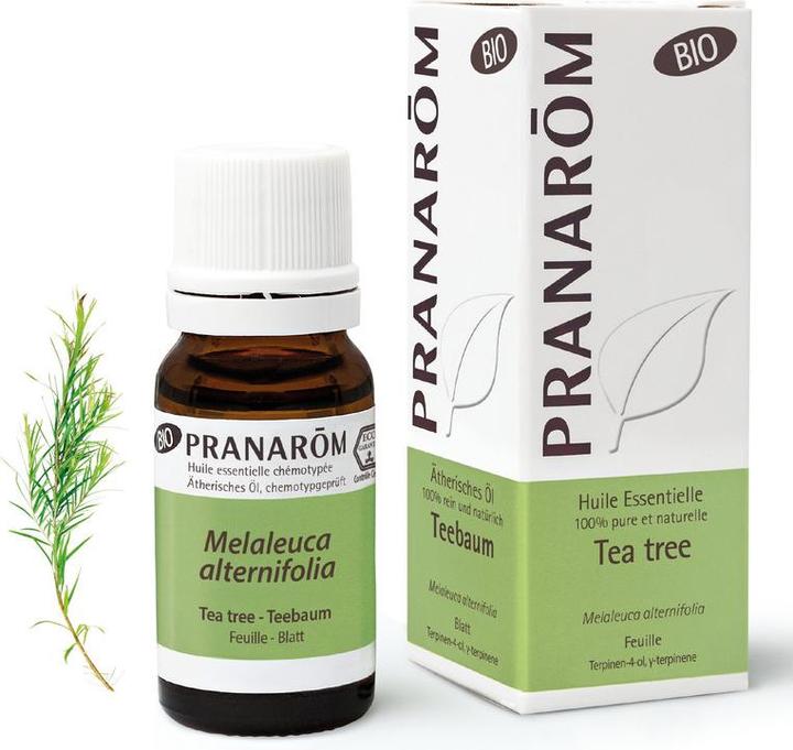 Pranarom Teebaum Bio