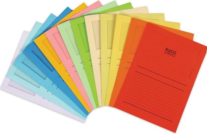 Image du produit Elco Visionner la couverture Ordo classico (A4, 100 x)