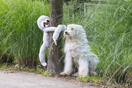 Actual product image Beeztees Dog toy plush sloth Mees (Plush toy dog)