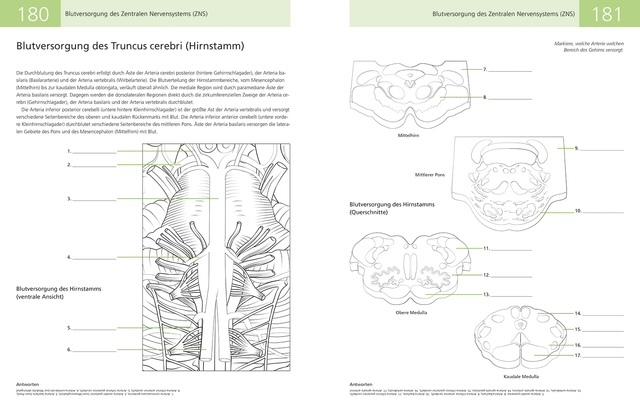 Produktbild Librero GOWIN:Das Lehrbuch vom menschlichen Geh (Deutsch, Joshua Gowin, Wade Kothmann, 2018)