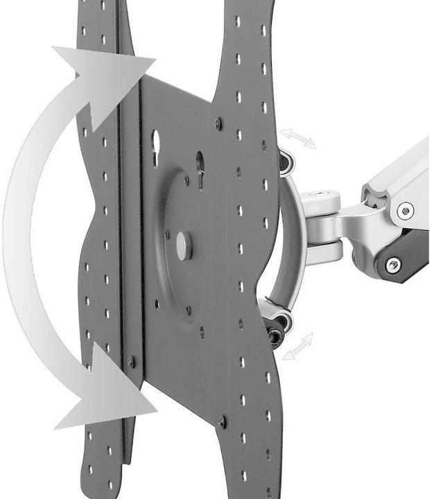 Produktbild PureMounts Pm-Iactive2-52 (Wand, 52", 20 kg)