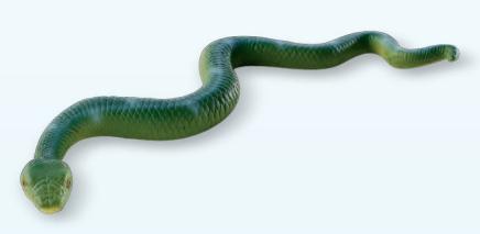 Image du produit Bullyland Boa Constrictor