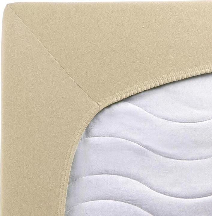 Actual product image Traumschlaf Premium Interlock (200x200 cm, 180x200 cm)
