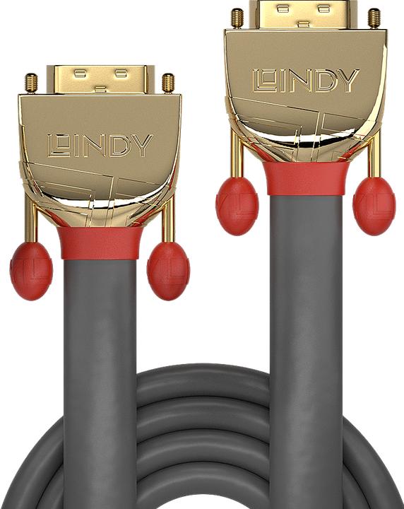 Actual product image Lindy Dvi — Dvi (20 m, DVI)
