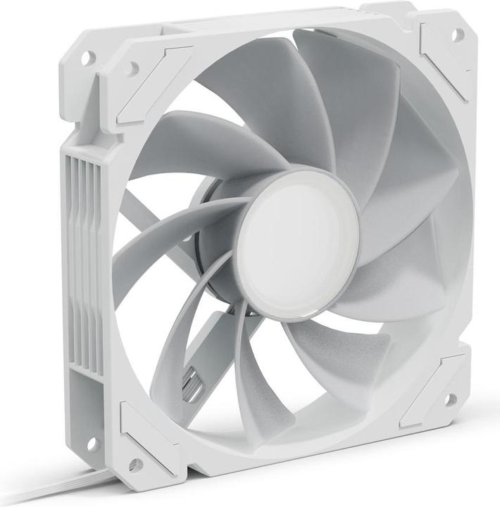 Actual product image Sharkoon SHARK Mirror RGB PWM REVERSE (white) (120 mm, 1x)