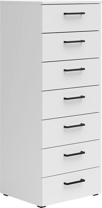 Image du produit Lipo Cabinet (45 x 40 x 115 cm)