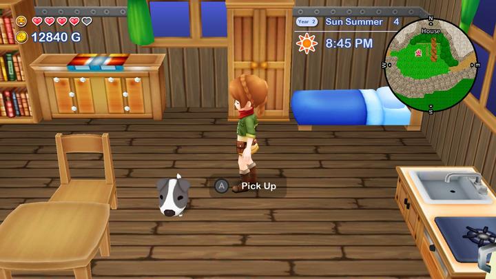 Immagine prodotto Numskull Harvest Moon: The Lost Valley & Skytree Village (Switch, EN, ES, FR)