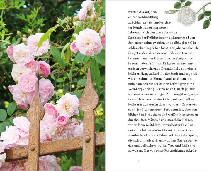 Produktbild Der kleine Schmetterlingsgarten (Deutsch, Rosemarie Doms, 2017)