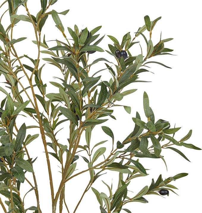Immagine prodotto Beliani Olive Tree (153 cm)