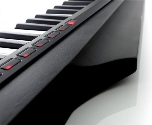 Actual product image Korg RK-100S 2 BLACK