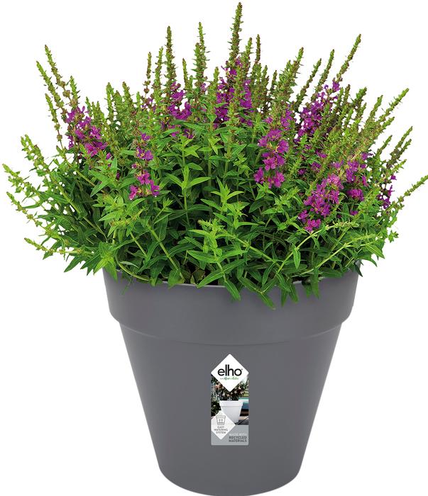 Produktbild Elho Loft Urban (19.30 cm)