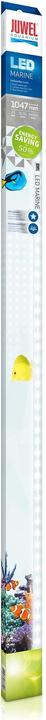 Productafbeelding Juwel Aquarium Marine (LED, 29 W)
