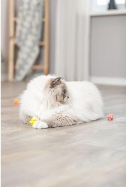 Actual product image Trixie Pimple balls (Cat ball toy)