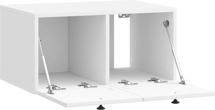 Actual product image vidaXL TV-Schränk (59.50 x 41 x 30 cm)