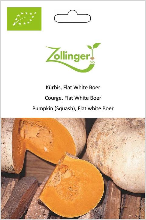 Immagine prodotto Zollinger Bio Zucca, tariffa flat bianca boera (Semi di piante)