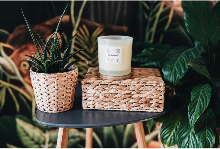 Immagine prodotto Ava & May Madagascar (500 g)