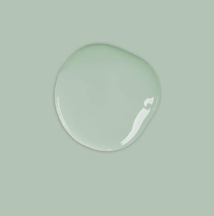 Image du produit Annie Sloan Peinture à la craie Duck Egg Blue litre (1000 ml)