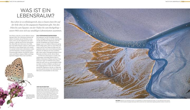 Actual product image Asher:Wilde Welten (German, Tom Jackson, Dr Claire Asher, Dr Julia Schröder, Derek Harvey., Michael Kokoscha, Claudia Franca de Abreu, Dr Rebecca Green, DK Publishing House, 2025)