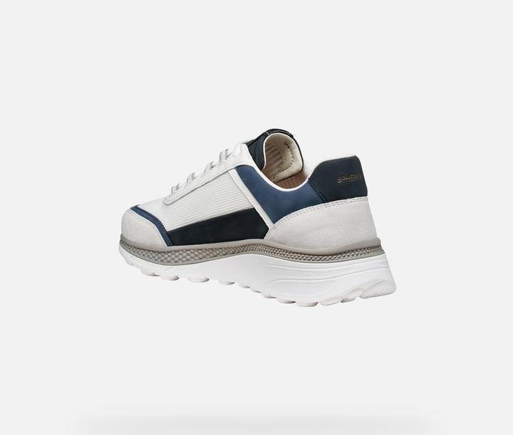 Image du produit Geox Sneaker (42)