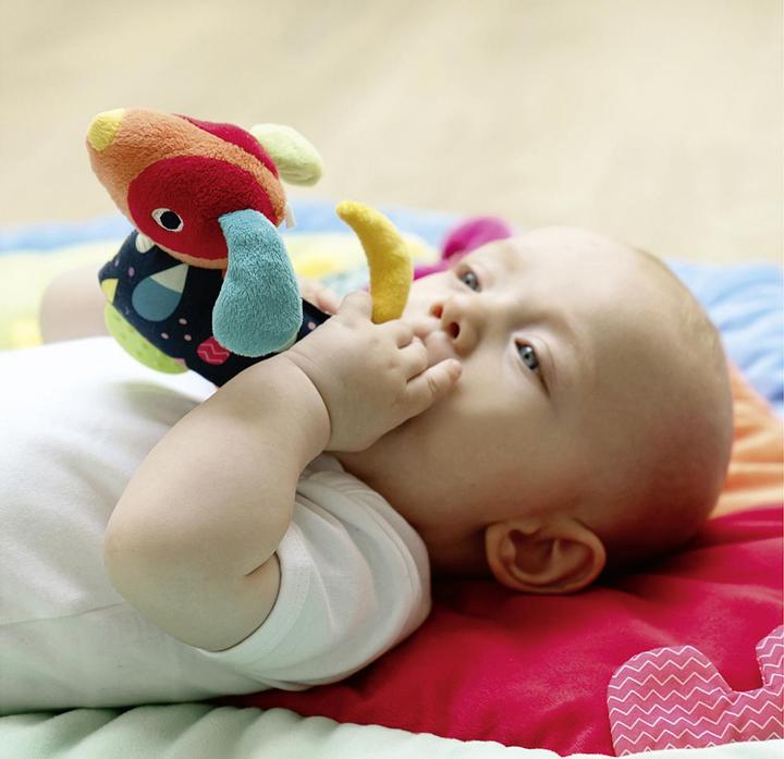 Image du produit Fehn Color Friends Griffin chien avec mordant