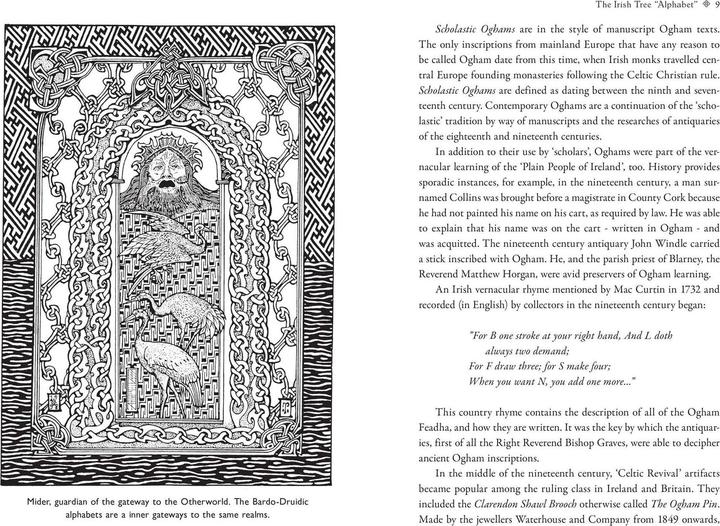 Immagine prodotto Celtic Tree Alphabets (Inglese, Nigel Pennick, 2024)