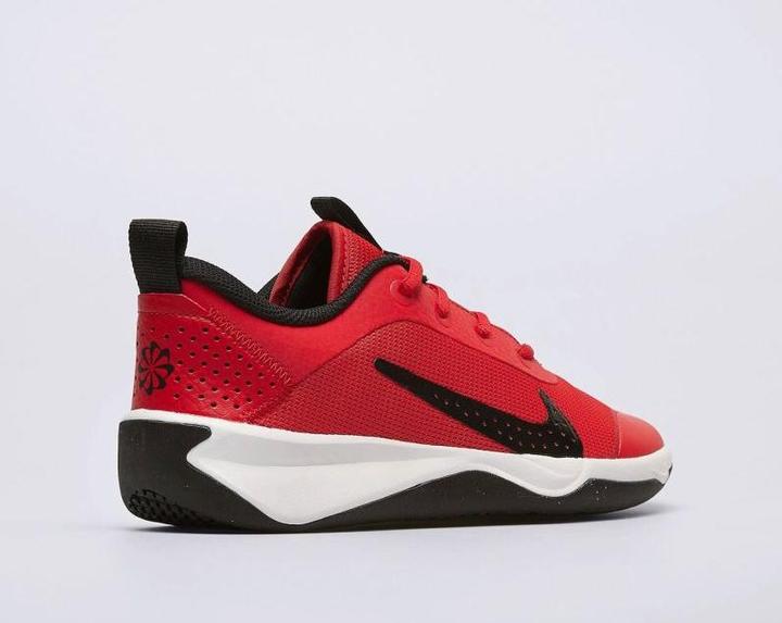 Actual product image Nike Kid's Omni Multi-Court (38)