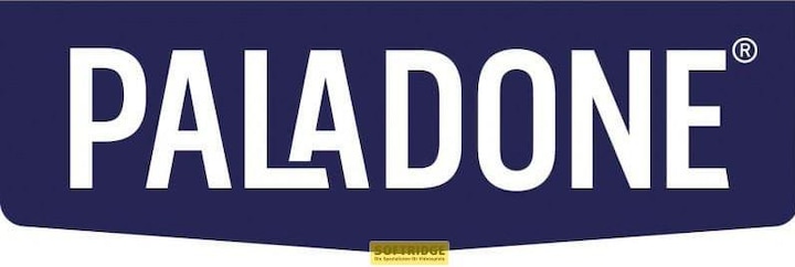 Image du produit Paladone Products Disney jeu de cartes à jouer Le Roi lion