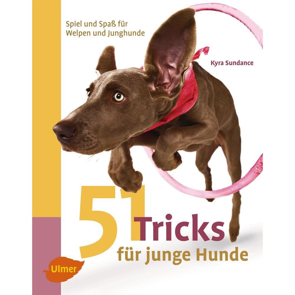 51 Tricks für junge Hunde, Ratgeber von Kyra Sundance