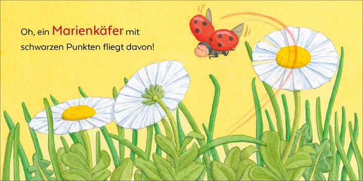 Image du produit Brosche:Wer hat sich denn hier versteck (Allemand, Broche Heidemarie, Mele Brink, 2025)