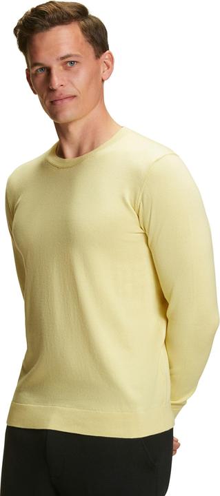 Produktbild Falke Herren Pullover (L)
