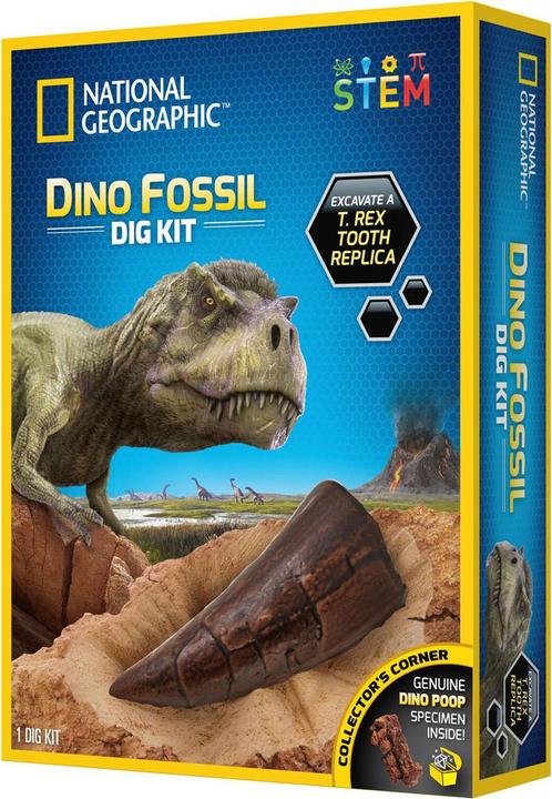 Actual product image Boti National Geographic Dinosaur Counting Set