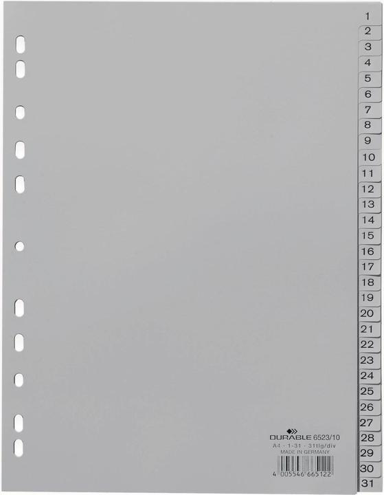 Image du produit Durable Registre PP