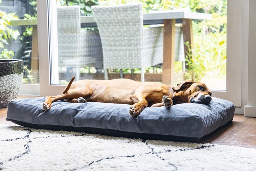Immagine prodotto Beeztees Bz Riposo Ortopedico Cush Veo Dgrey 100x70 (Cane)