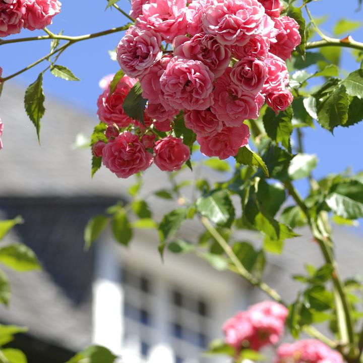 Immagine prodotto Relaxdays Rankturm (29 cm, 29 cm)