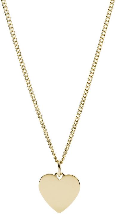 Image du produit Fossil Collier Drew (Acier inoxydable, 45 cm)