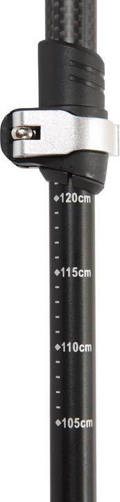 Actual product image Mountain Warehouse Bowfell Trekking Pole (100 cm)