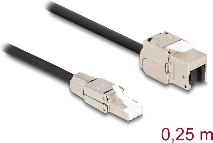 Immagine prodotto Delock Cavo RJ45 collegabile in campo a (S/FTP, CAT6a, 0.25 m)
