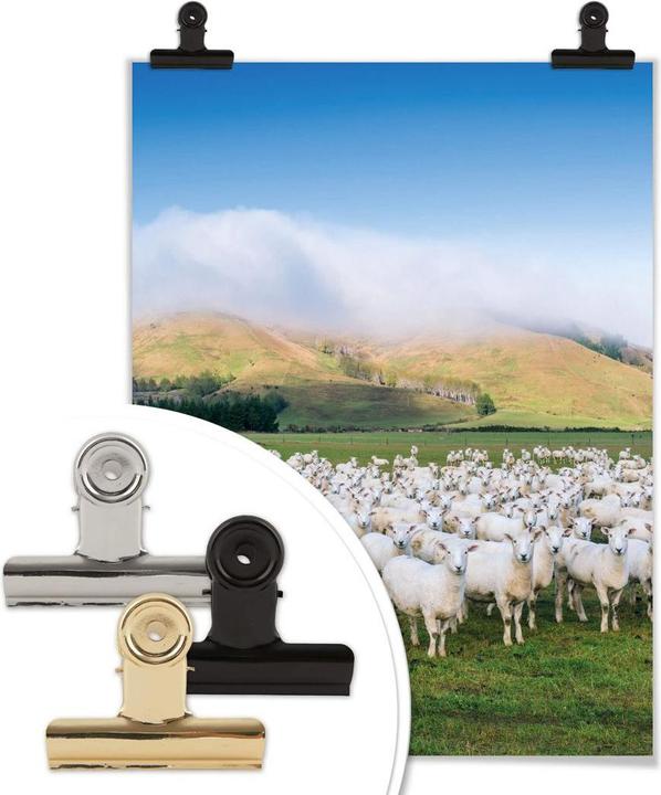 Actual product image Trenddeko Flock of sheep in New Zealand (100 x 120 cm)