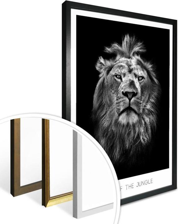 Produktbild Trenddeko Lion - King of the Jungle (40 x 50 cm)