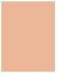 Immagine prodotto MAC Cosmetics Studio Radiance Face and Body Radiant Sheer Foundation (W2)