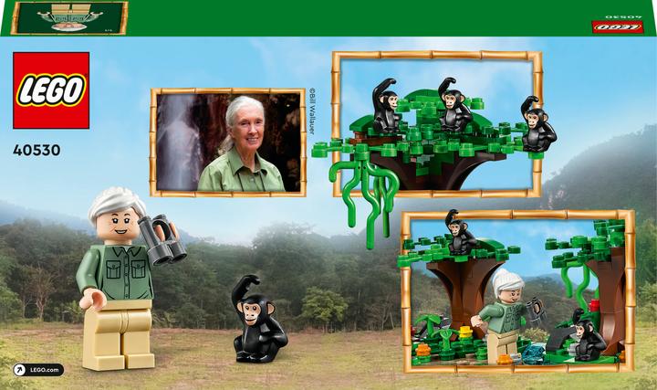 Image du produit LEGO Hommage à Jane Goodall 40530 (40530, LEGO Classic)