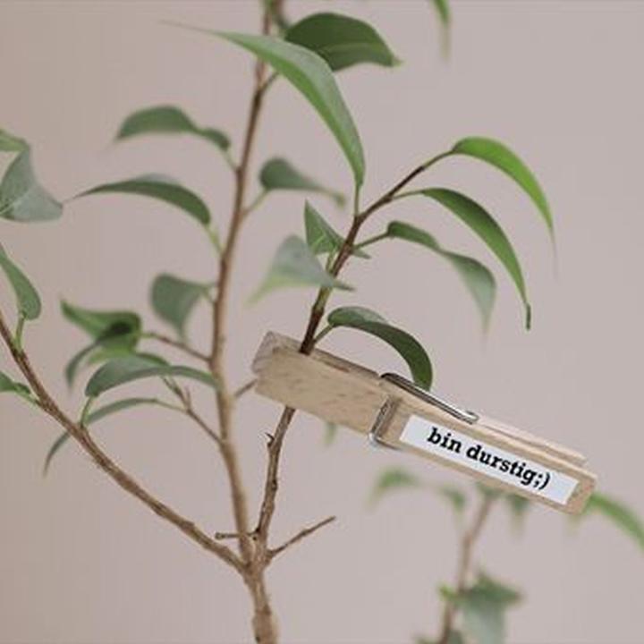 Produktbild Brother Tze-S211 (0.60 cm, Weiss, Schwarz)