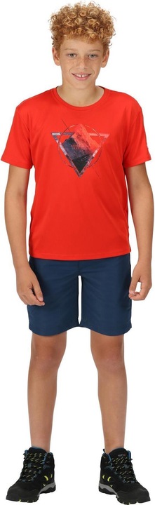 Actual product image Regatta Sorcer Ii Shorts (146, 152)