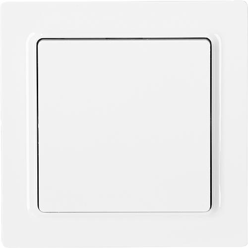 Actual product image Eltako F2T55E-wg Wireless pushbutton 2-channel surface-mounted Range max. (in free field) 30 m