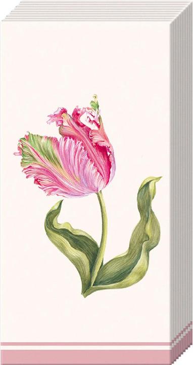 Actual product image IHR Papiertaschentücher "Driselle"