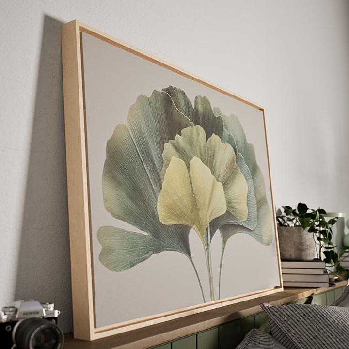 Immagine prodotto edy&liv Mosso (94 x 64 cm)