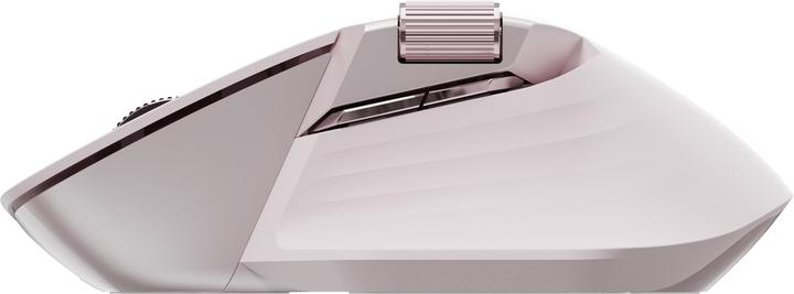 Actual product image Rapoo MT760M (Wireless)