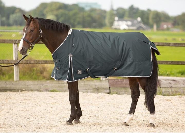 Actual product image Harry's Horse Thor 300 (185 cm)